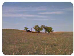 A Lonely Prairie
